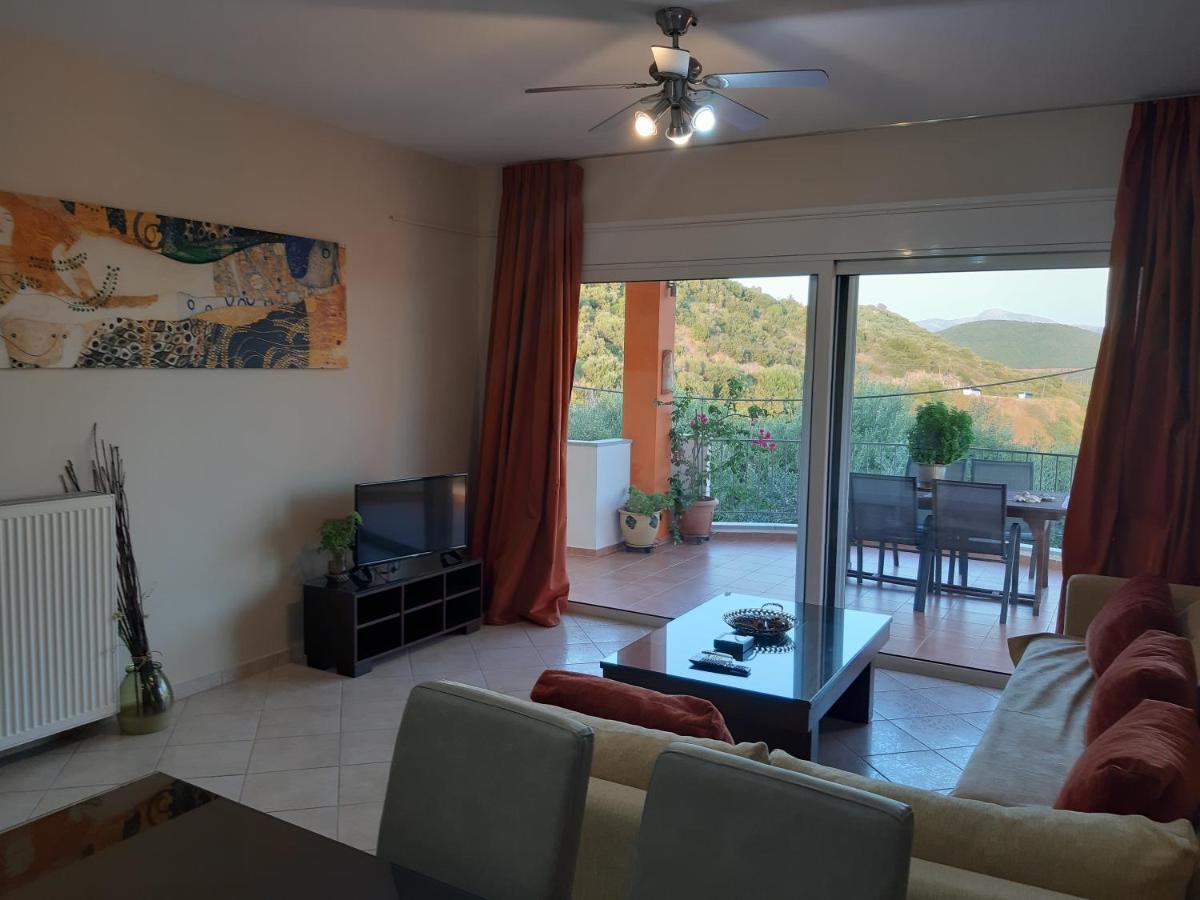 Olive Tree Apartments بارغا المظهر الخارجي الصورة