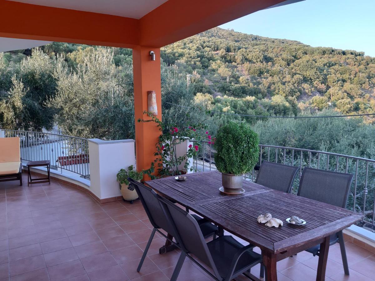 Olive Tree Apartments بارغا المظهر الخارجي الصورة