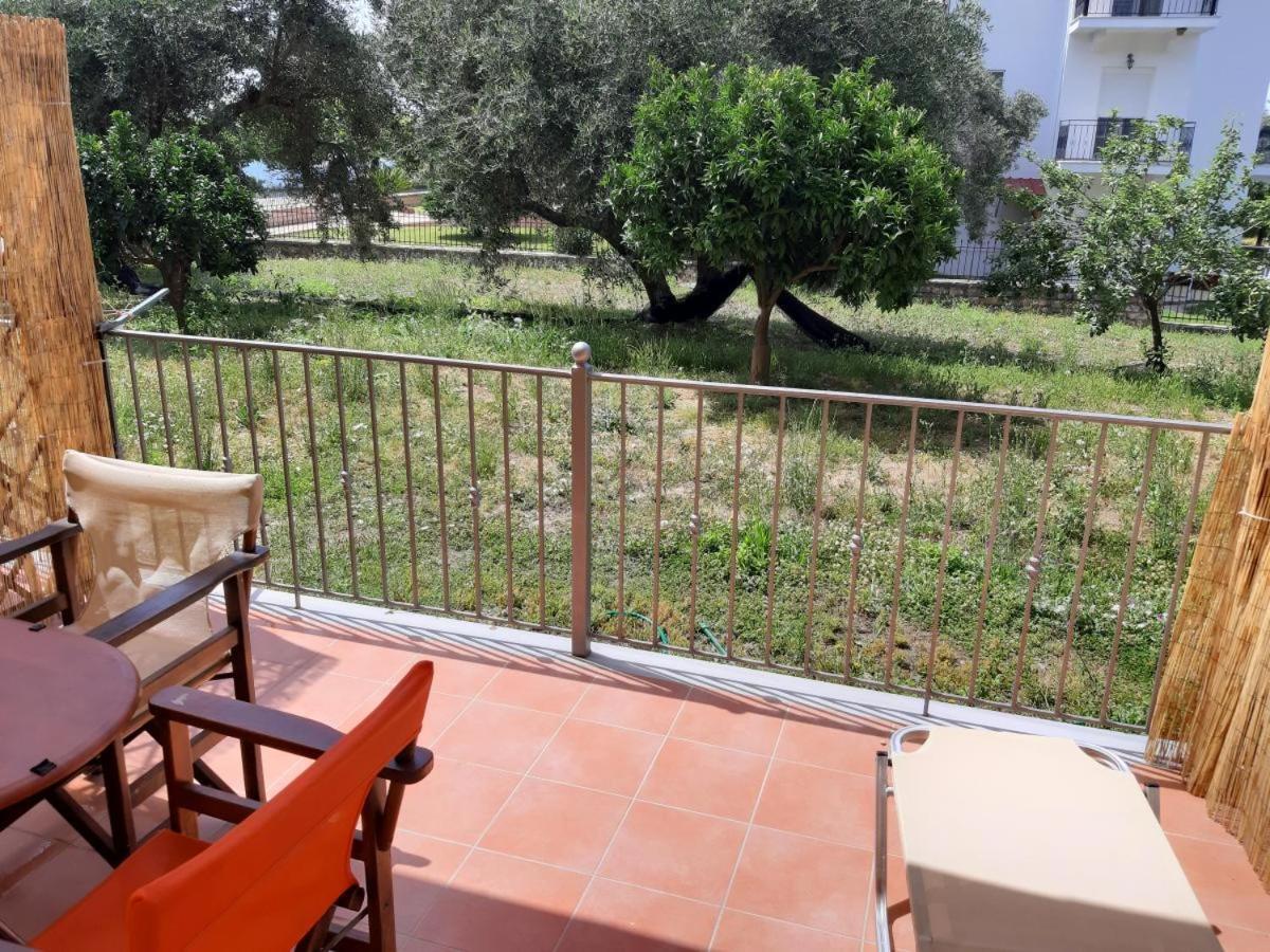 Olive Tree Apartments بارغا المظهر الخارجي الصورة